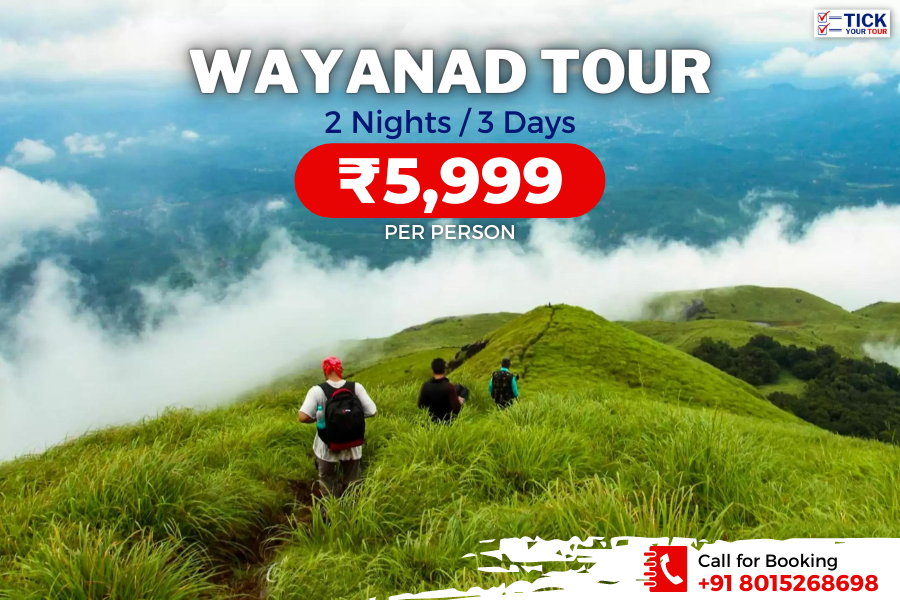 wayanad tour packages for 1 day