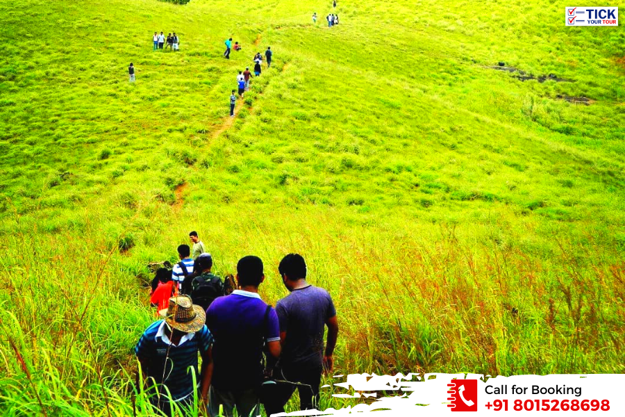 <h5> Wayanad Tour Package – ₹5,999 / Person</h5>