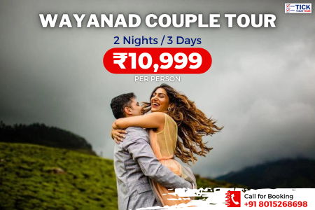 <h5> Wayanad Couple Tour Package – ₹10,999 / Person</h5>
