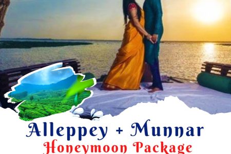 Alleppey & Munnar Honeymoon Tour – ₹16,499 PP Only